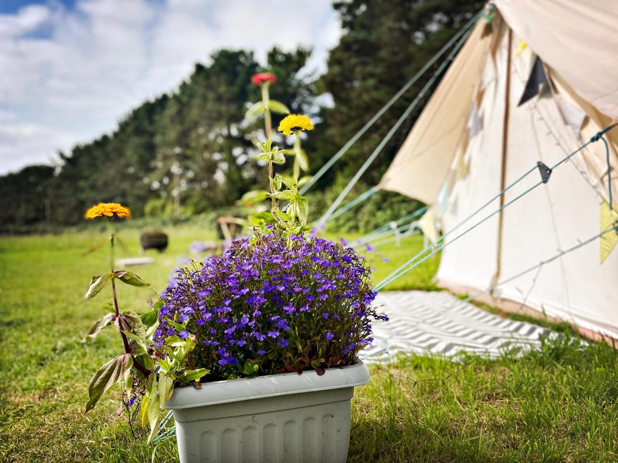 Trevena Cross Glamping & Camping Helston Exteriér fotografie